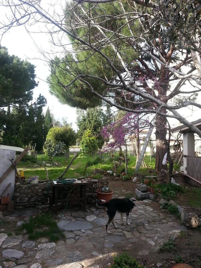 Ecer Pansiyon Kusadası Eksteriør billede